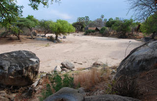 Mwagusi Sand River