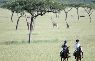 Offbeat Riding Safaris