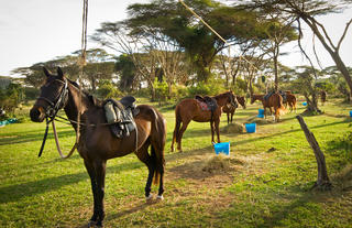 Offbeat Riding Safaris