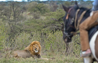 Offbeat Riding Safaris