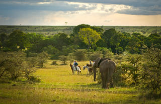 Offbeat Riding Safaris