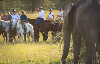 Offbeat Riding Safaris