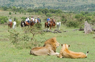 Offbeat Riding Safaris