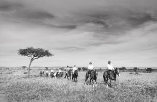 Offbeat Riding Safaris