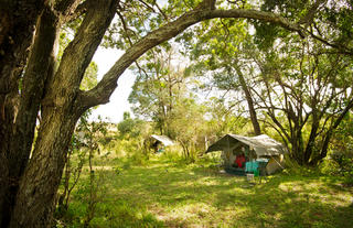 Offbeat Riding Safaris