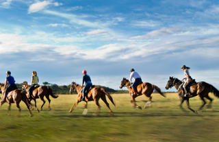 Offbeat Riding Safaris