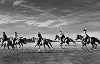Offbeat Riding Safaris