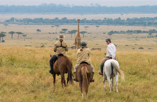 Offbeat Riding Safaris