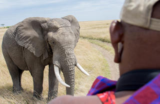 Offbeat Riding Safaris