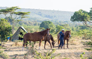 Offbeat Riding Safaris