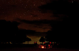 Offbeat Riding Safaris