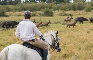 Offbeat Riding Safaris