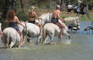 Offbeat Riding Safaris