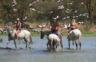 Offbeat Riding Safaris