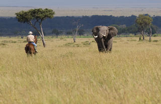 Offbeat Riding Safaris