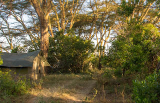 Offbeat Riding Safaris