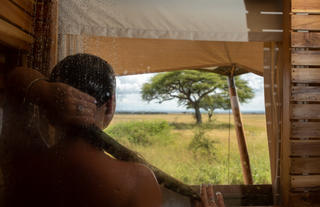 View from the Shower
