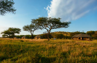 View of Cherero Camp