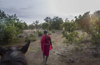 Horse riding 