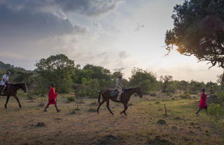 horse riding 