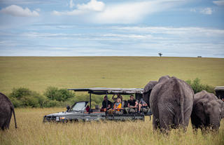 Sala's Camp game drives