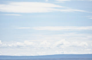 Wildlife views in the Mara