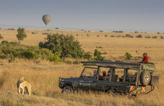 Game drives in the Mara
