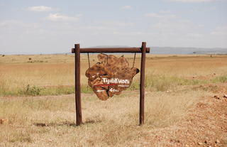 Tipilikwani Mara Camp - Masai Mara