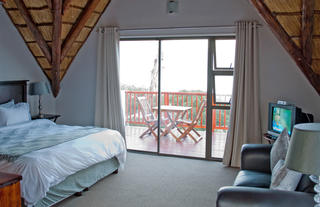 Dolphin room interior
