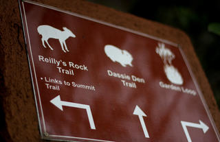 Reilly's Rock Walking Trails