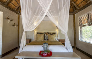 Impala Lily suite interior