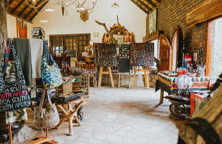 Curio shop 1