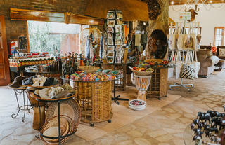 Curio shop 2