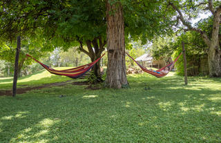 Hammock garden