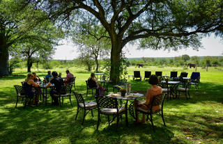 Lunch on the lawn