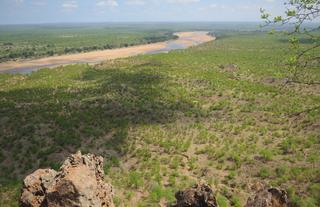 Gonarezhou View