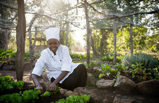 Farm to table