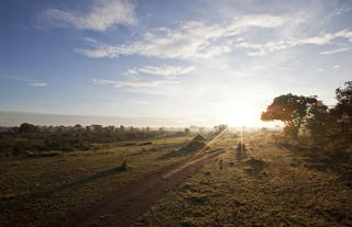 Beautiful sunrise