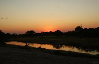 Savuti campsite at sunset