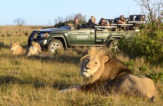 Game Activities & Wildlife