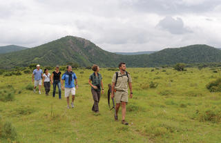 Game Activities & Wildlife