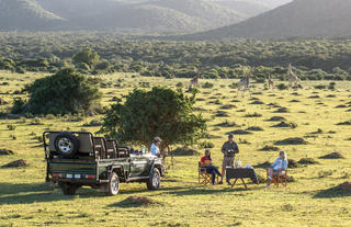 Game Activities & Wildlife