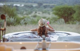 Chalets - plunge pool