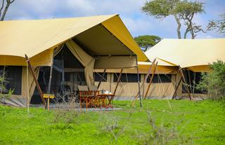 Family Tent View