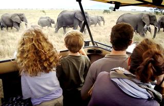 Game Drive