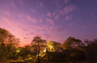 Nest With Purple Sky