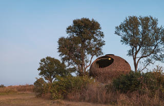 Exterior of Nest