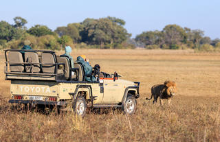 Game drive