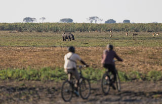 Ebike Safari