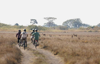 Ebike Safari